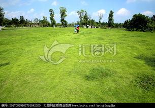 青草青青国产视频,国产视频中的青春记忆与成长轨迹  第3张