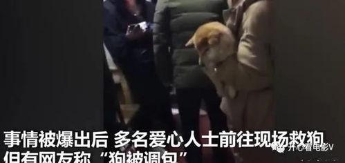 主人调教视频国产,从调教视频看国产崛起之路  第2张