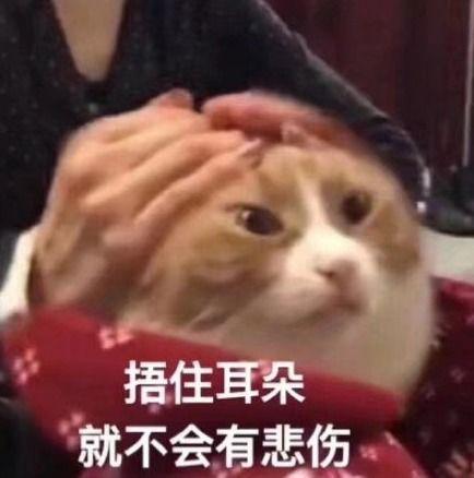 太粗太深了太紧太爽了国产,太粗太深太紧太爽，揭秘国产新高度