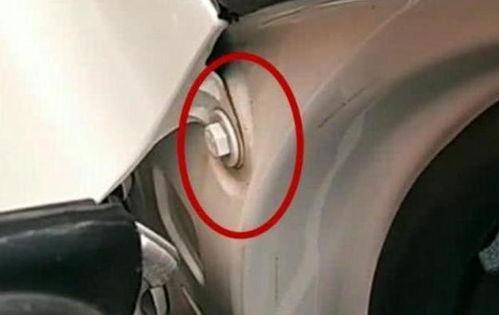 国产19p,引领科技潮流的创新之作  第2张