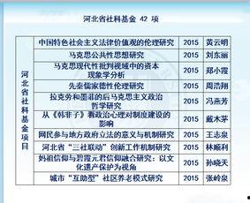 理论国产一级,引领科技创新，铸就民族品牌辉煌  第3张