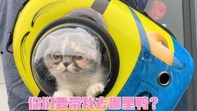 国产超级大香蕉  第2张