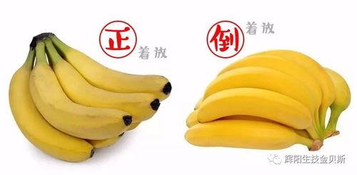 国产超级大香蕉  第3张