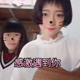 人爱c视频正国产,揭秘正国现象背后的文化魅力  第2张